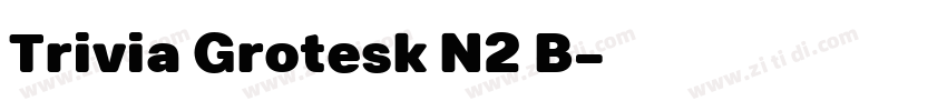 Trivia Grotesk N2 B字体转换